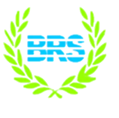 BR Services - An Innovative HR Services